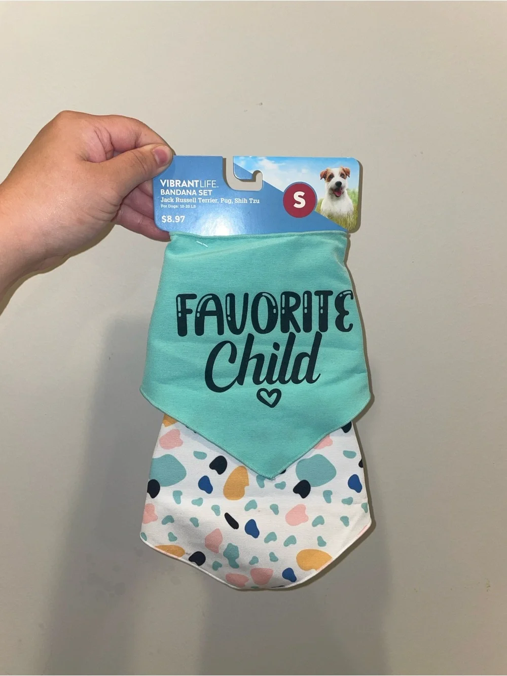 New Dog Bandana Set